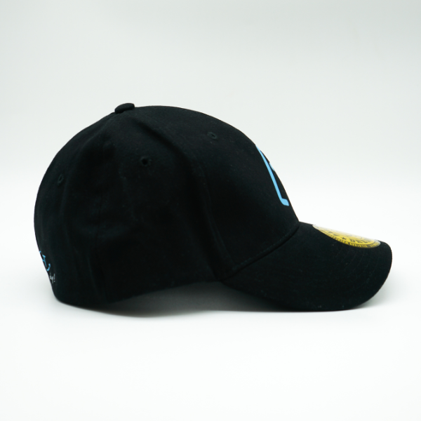 Walksport Kit - Black Dream Fit cap + ed!